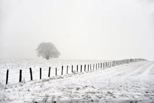 Winter wandering