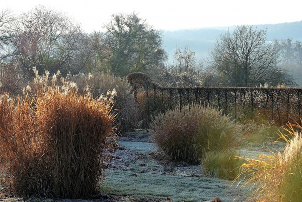 L'hiver au Jardin botanique de la Presle