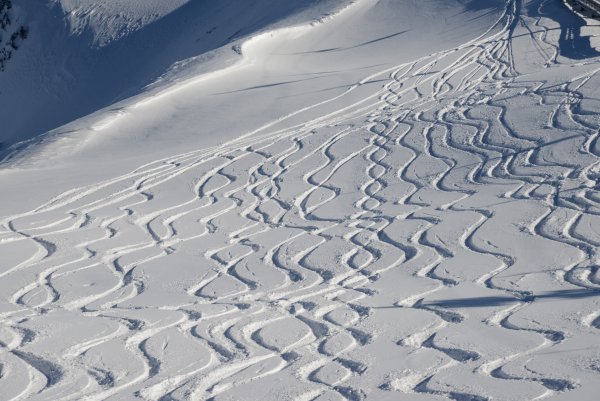 Plaisirs de la neige, Canton du Vaud, Suisse