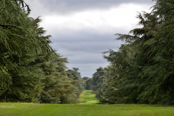 Une année à l'Arboretum de Versailles-Chèvreloup - Muséum national d'Histoire naturelle