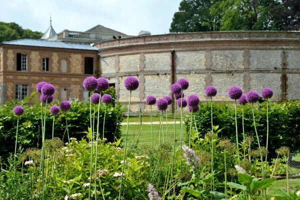 Éclats de vie - renaissance du Domaine du Grand Daubeuf